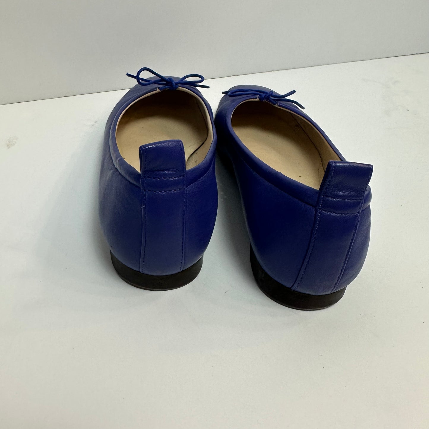 Everlane Day Ballet Flats Leather Bow Cobalt Royal Blue 6
