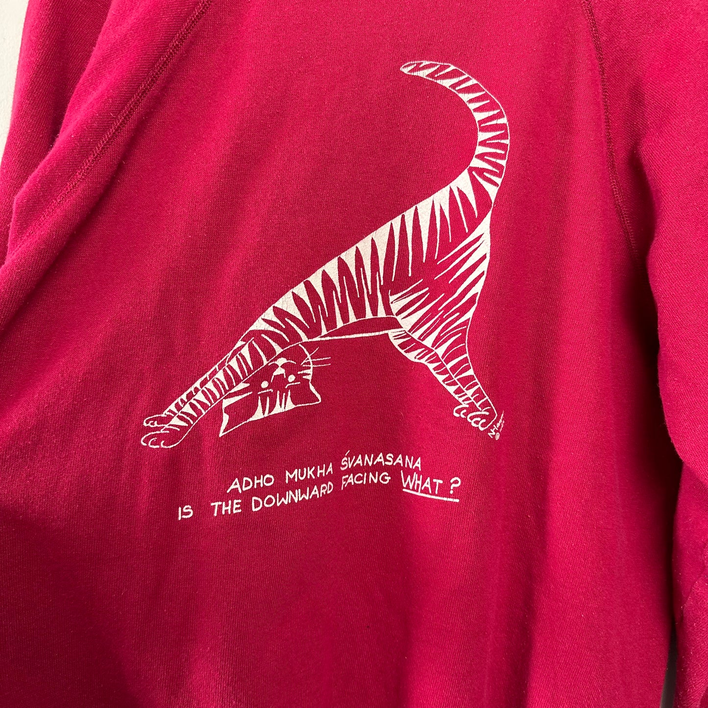 Vintage Yoga Cat Sweatshirt Hanes Large
