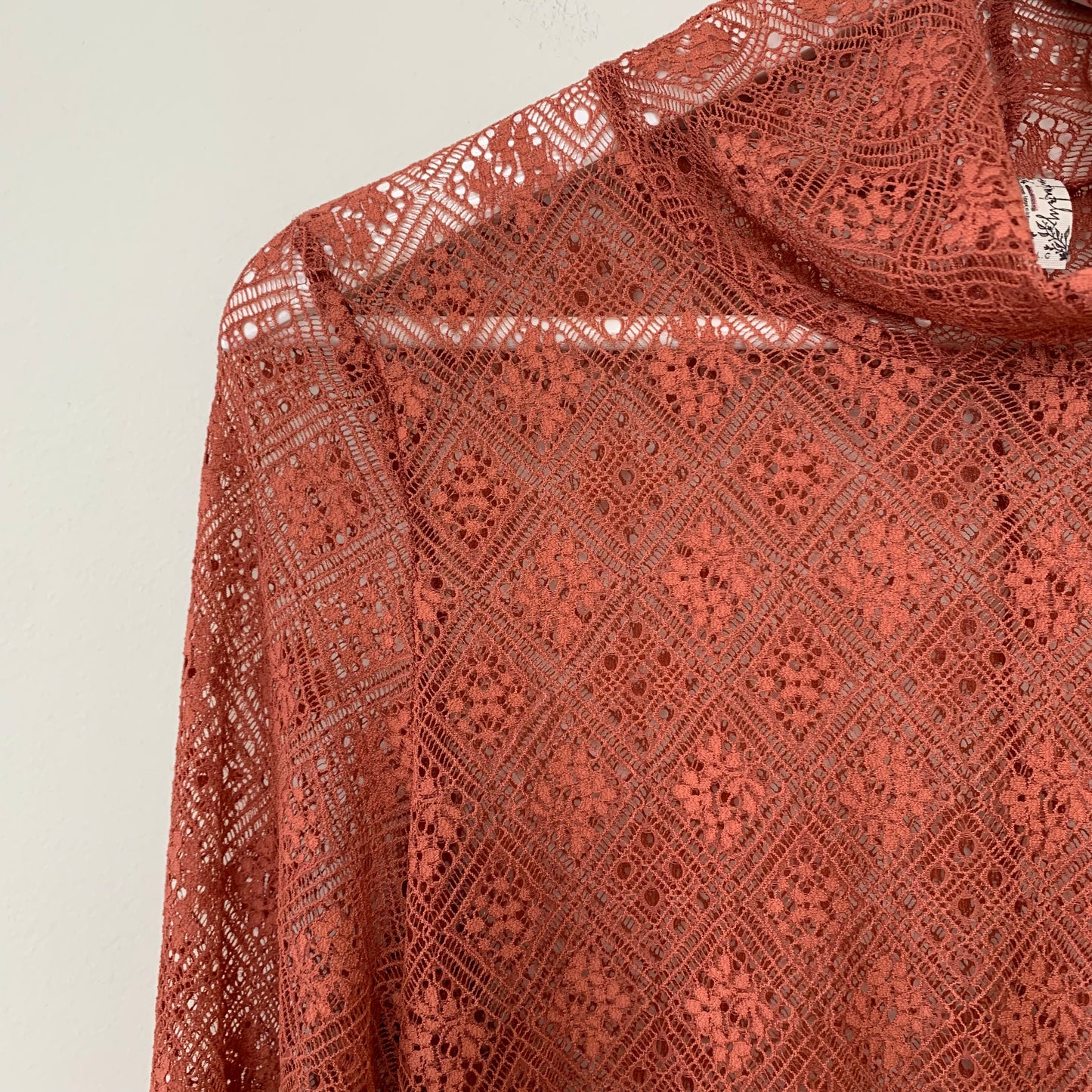 Intimately Free People Sweet Memories Turtleneck Sheer Lace Terracotta Large