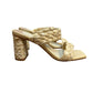 Dolce Vita Paily Raffia Heels Braided Block Heel Sandal 6